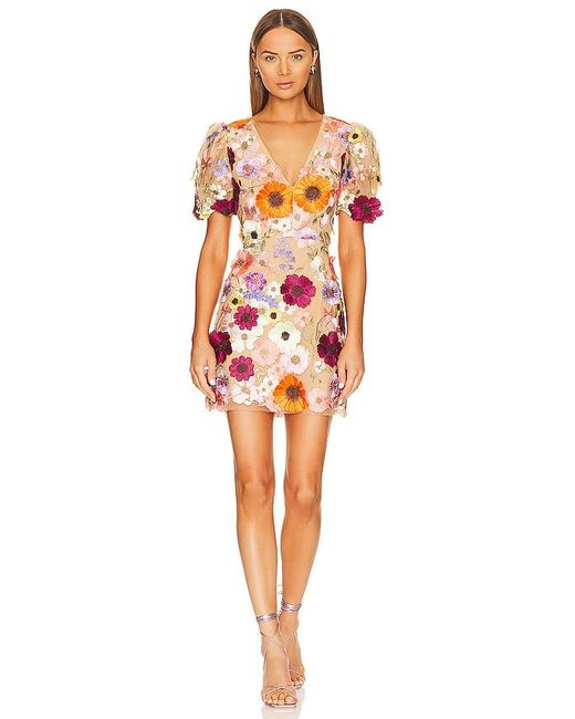 Elliatt Red Rosalind Dress