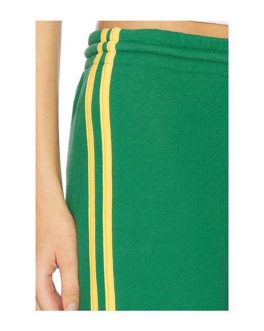 Daydreamer Green Solid Track Pant