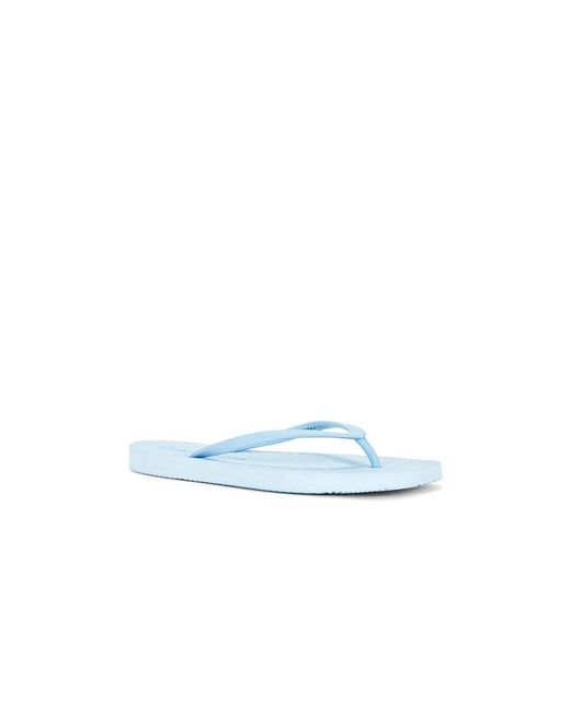 Sleeper Blue Tapered Flip Flop
