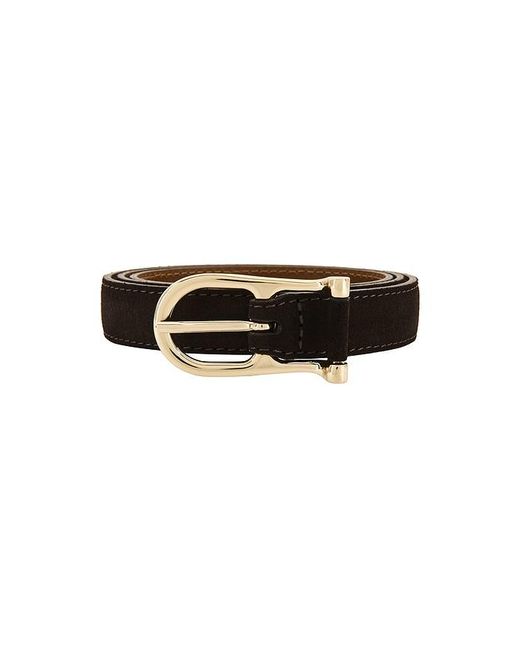 Flattered Black Betty Belt