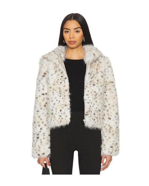Free People Multicolor Louder Please Hooded Jacket