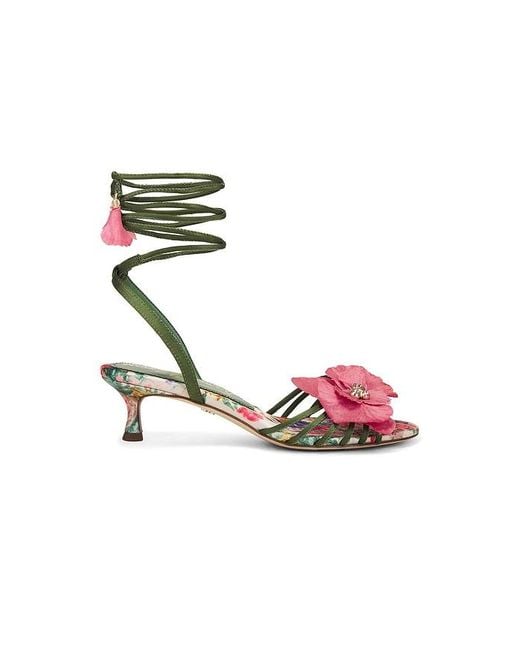 Sam Edelman Multicolor Carla Sandal