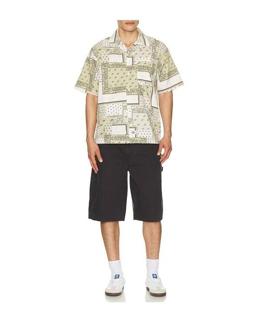 Dickies Black Worn for men