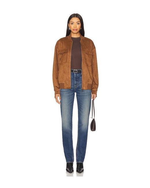Steve Madden Multicolor Dean Jacket