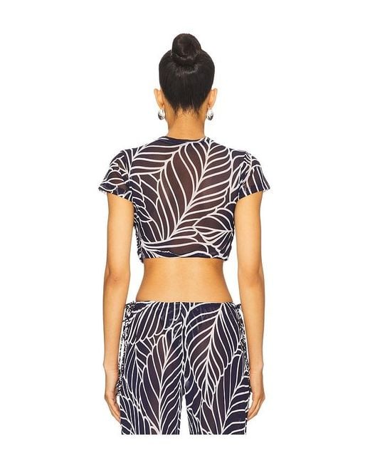 Devon Windsor Blue Alder Top