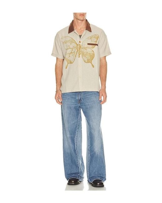 Ryoko Rain Blue Butterfly Pinstripe Button Up Shirt for men