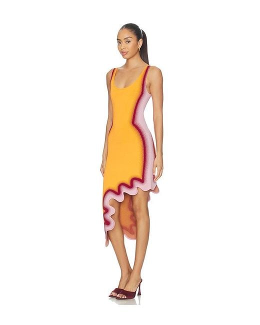 Ph5 Orange Aster Reversible Wavy Dress