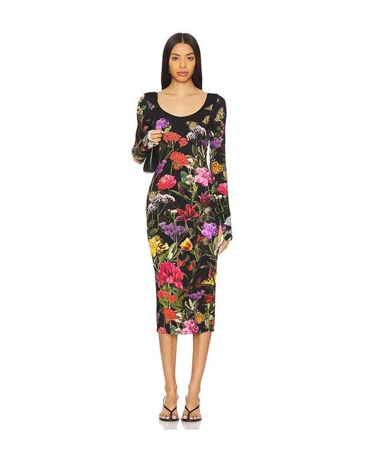 Alice + Olivia Delora ドレス Black