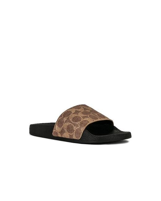 COACH Brown Udele Slide