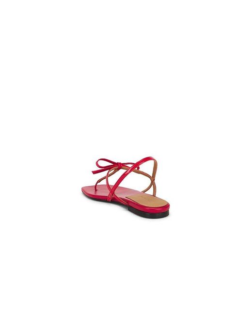 Flattered Red Sandale Sina