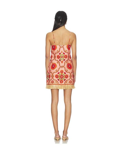 Cara Cara Red Valencia Mini Dress