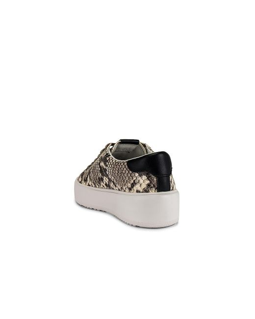 Greats レザー Waverly スニーカー カラー グレー Lyst Greats レザー Waverly スニーカー カラー グレー Lyst