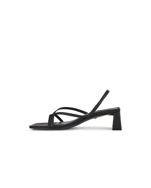Raye White Porter Sandal
