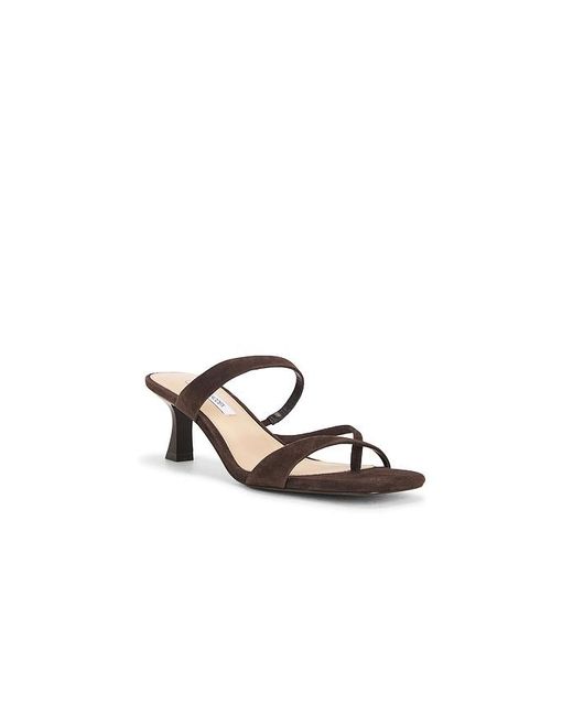 Steve Madden Multicolor Ajay Sandal