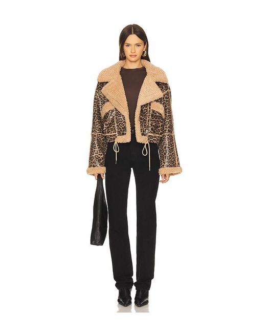 Blank NYC Black Bonded Moto Jacket In
