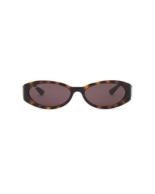 Gucci Brown Hailey Oval Sunglasses