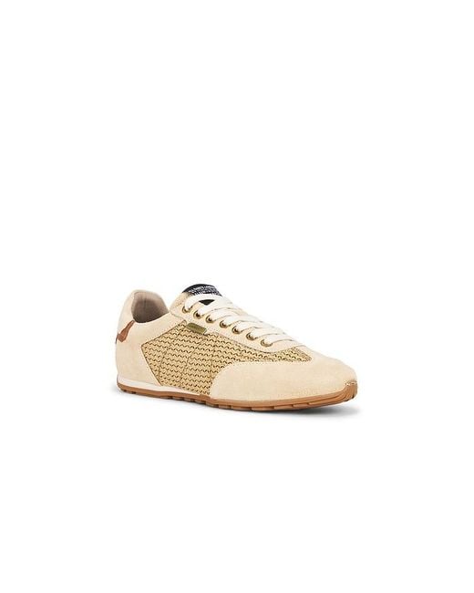 AllSaints White Liam Low Top Sneaker