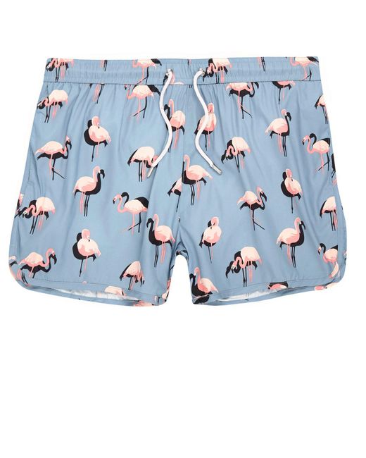 River Island Blue Flamingo Print Runner Swim Shorts for men