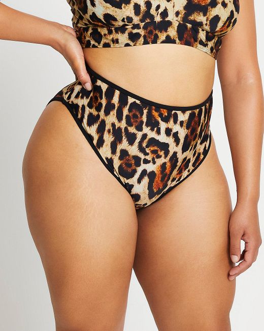 River Island Plus Leopard Print Tanga Bikini Bottoms in Black - Lyst