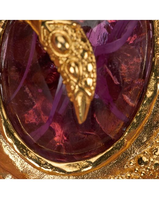 Roberto Cavalli Multicolor Golden Clip-On Earrings With Amethyst Stone
