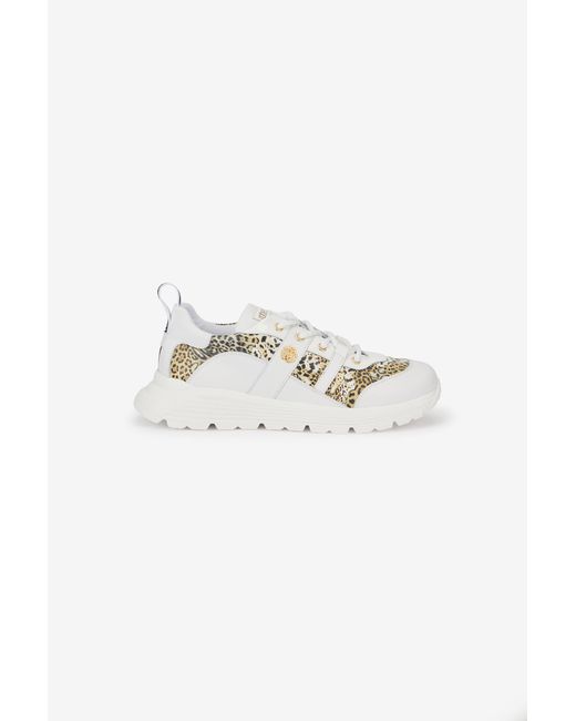 Roberto Cavalli Multicolor And Jaguar Sneakers With Logo