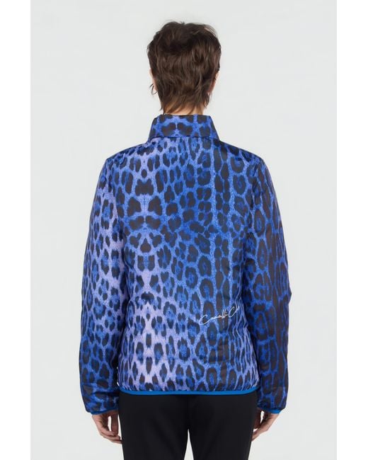 Roberto Cavalli Blue Bomber