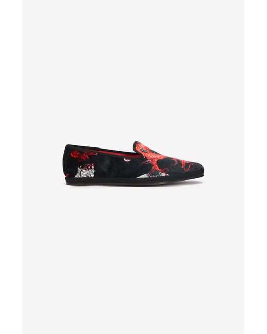 Roberto Cavalli Multicolor Embroidered Velvet Loafers for men