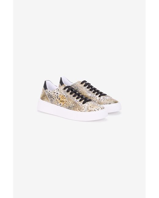 Roberto Cavalli Multicolor Leopard Print Sneaker With Monogram Rc