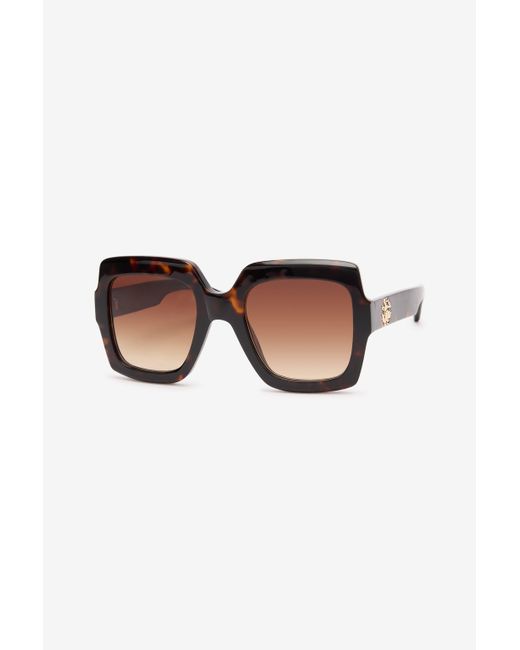 Roberto Cavalli Brown Sunglasses