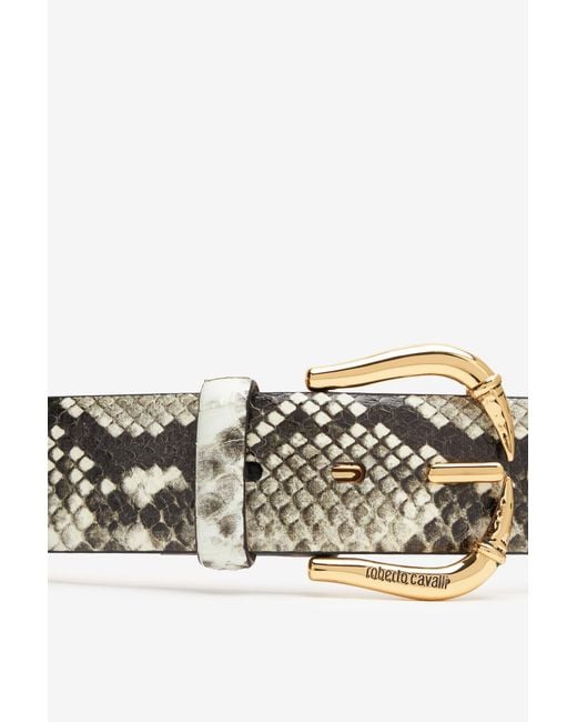 Roberto Cavalli Multicolor Belt With Fang Buckle