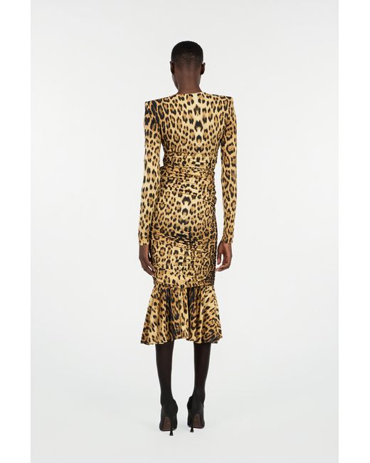 Roberto Cavalli Brown Midi Dress With Jaguar Skin Print