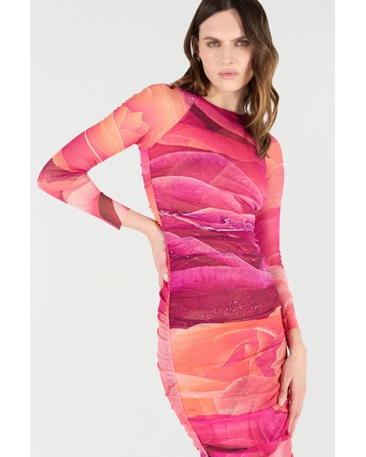 Roberto Cavalli Pink Sheath Dress With Rose Print
