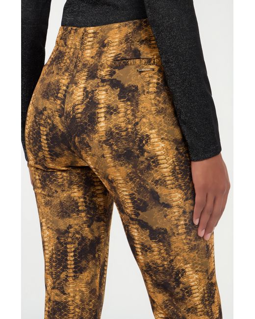Roberto Cavalli Natural Cobra Print Trousers