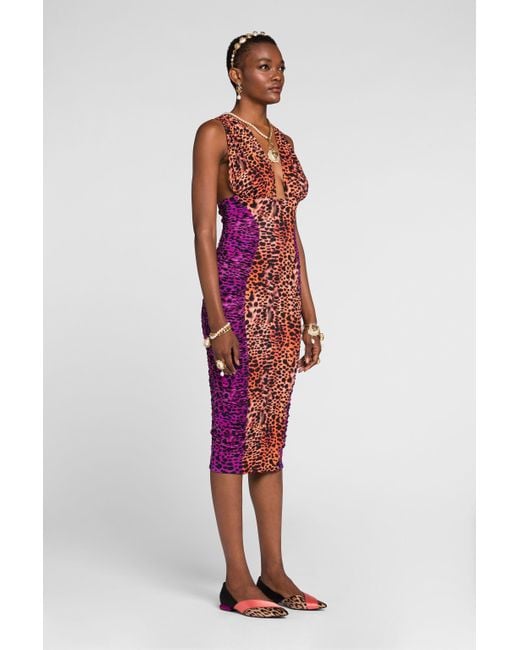 Roberto Cavalli Leopard Print Dress in Red Lyst