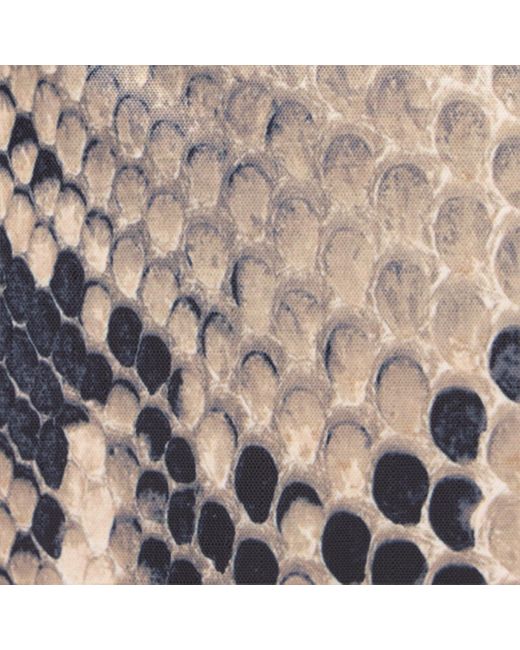 Roberto Cavalli White Torino Bag With Print