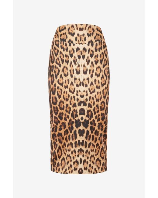 Roberto Cavalli Natural Pencil Skirt With Jaguar Skin Print