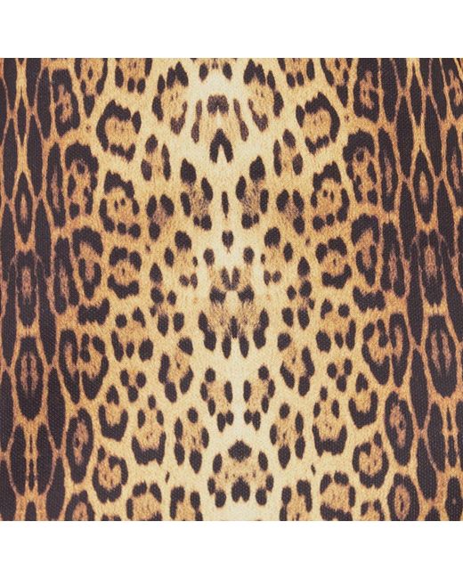 Roberto Cavalli Natural Leopard Print Midi Dress