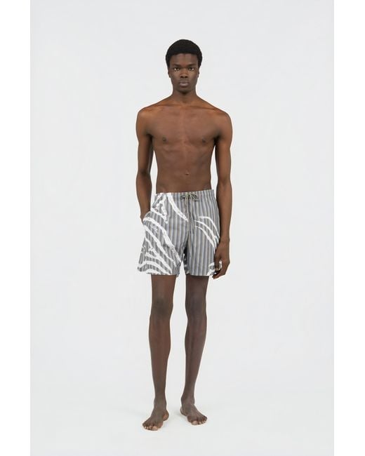 Bañador Gris Roberto Cavalli de hombre de color Gray