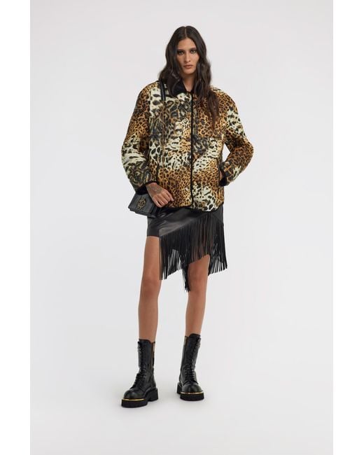 Roberto Cavalli Brown Leopard Printed Jacket