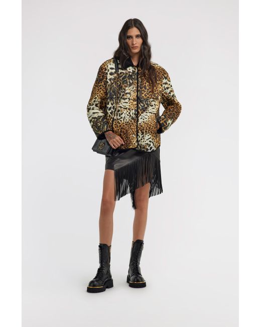 Roberto Cavalli Brown Leopard Printed Jacket