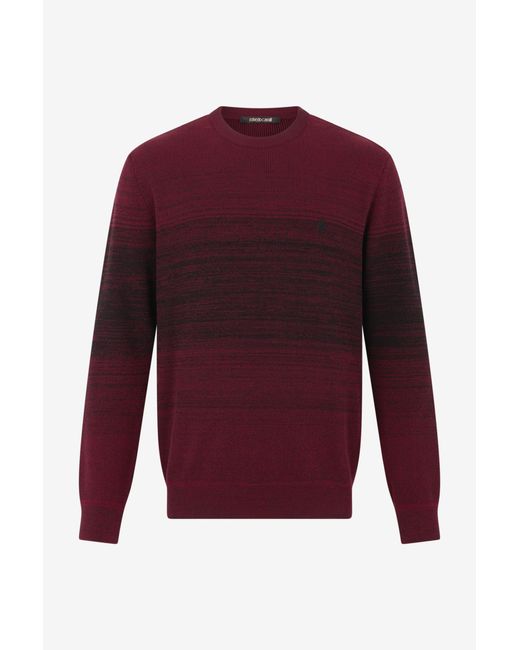 Roberto Cavalli Red Burgundy Dégradé Cotton Sweater for men