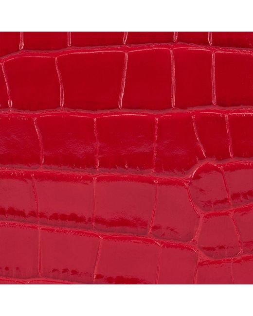 Pouch Roar di Roberto Cavalli in Red