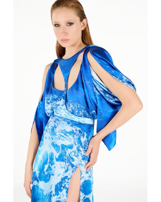 Roberto Cavalli Blue Stretto Di Messina Print Long Dress