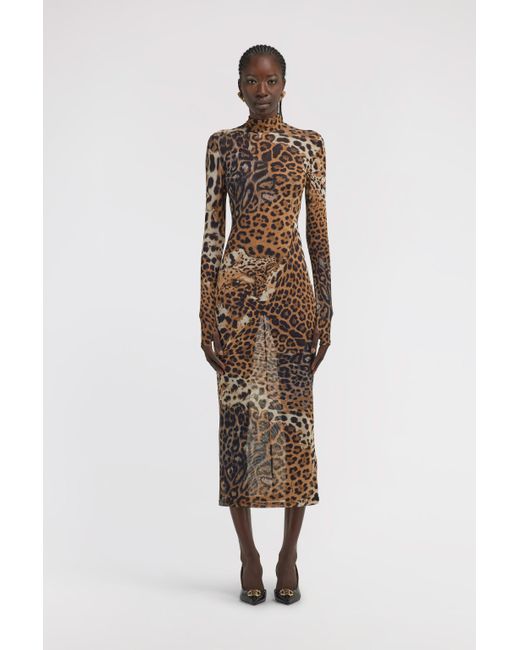 Roberto Cavalli White Long Tulle Dress With Jaguar Print