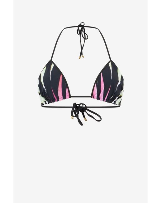 Roberto Cavalli Blue Ray Of Paradise Print Triangle Bikini Top