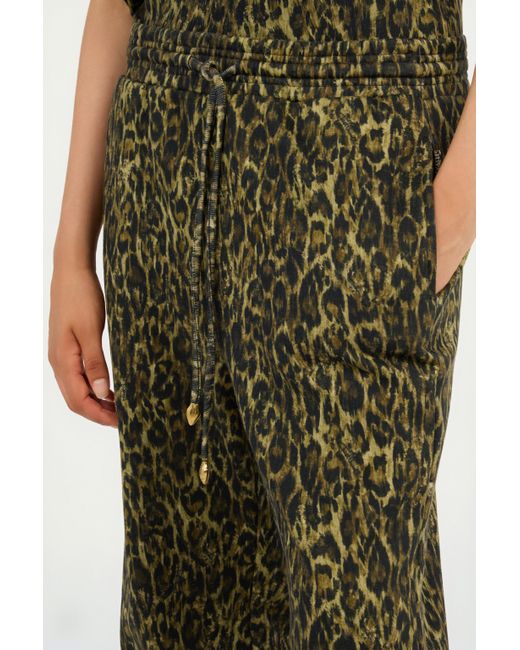 Roberto Cavalli Green Hose Mit Leopardendruck