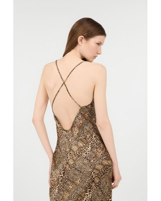 Roberto Cavalli Natural Silk Dress With Jaguar, Cheetah And Leopard Print