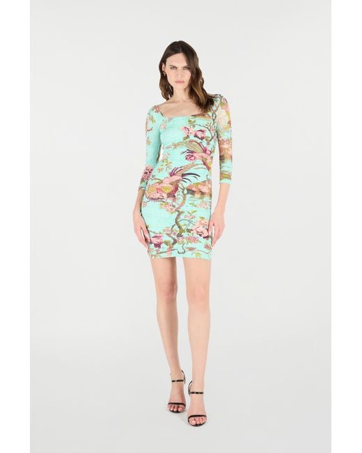 Roberto Cavalli White Mini Dress With Oriental Bird Print