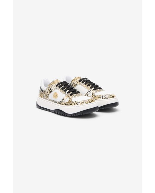 Roberto Cavalli Multicolor Leopard Print Sneaker With Monogram Rc
