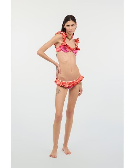 Roberto Cavalli Red Garden Rose And Cheetah Skin Bikini